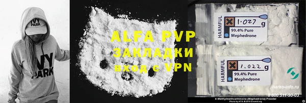 прущие грибы Иннополис