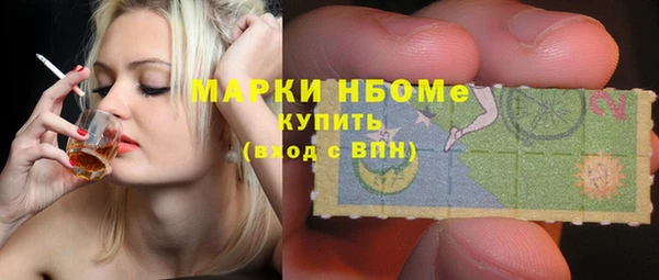 прущие грибы Иннополис