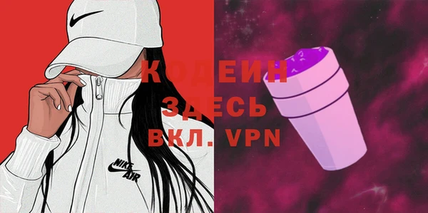 прущие грибы Иннополис