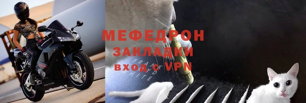 прущие грибы Иннополис