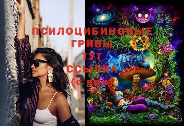 прущие грибы Иннополис