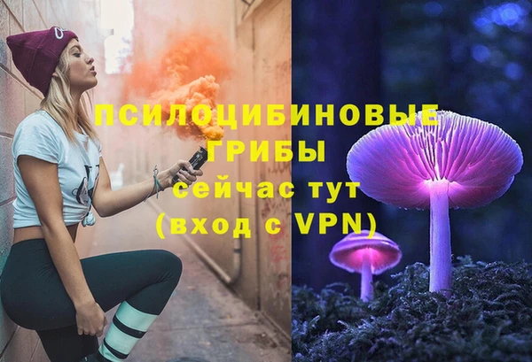 кокс Инта