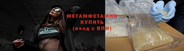 прущие грибы Иннополис