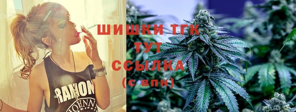 прущие грибы Иннополис