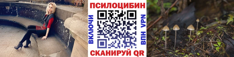 Купить где  Игарка  Галлюциногенные грибы MAGIC MUSHROOMS 